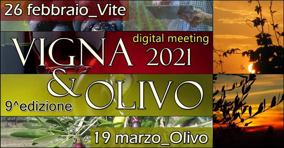 CUT Vigna & Olivo