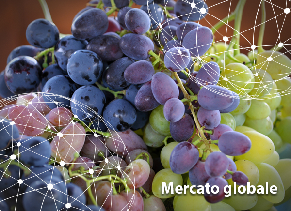 Mercatoglobale_UVA