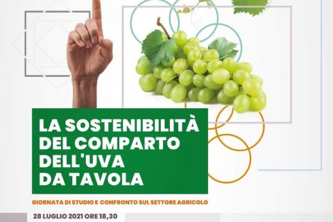 foglie-tv-sostenibilità-uva-da-tavola-rutigliano
